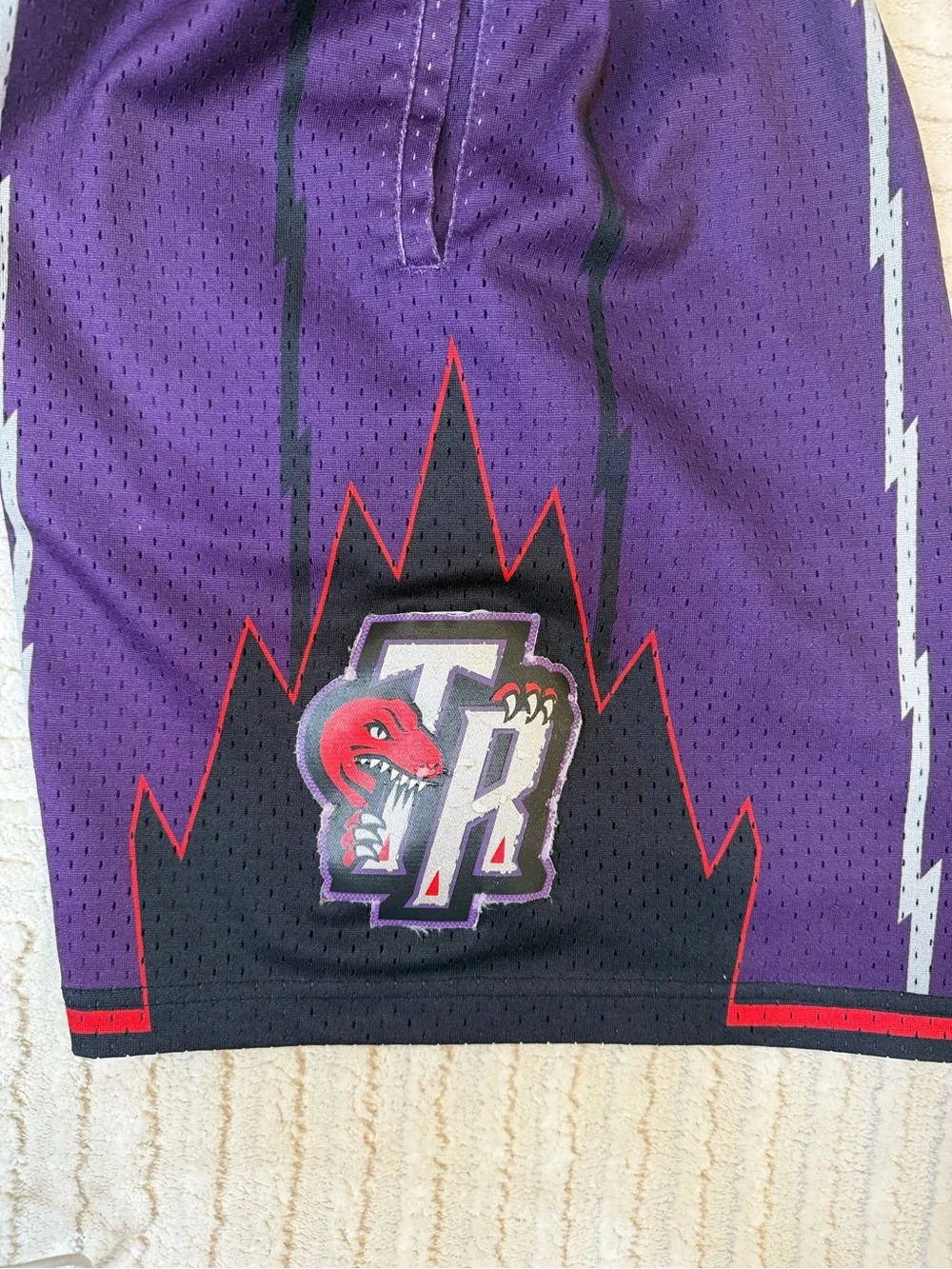 Mitchell & Ness Toronto Raptors 1998 Swingman Shorts Purple Size Large NBA HWC